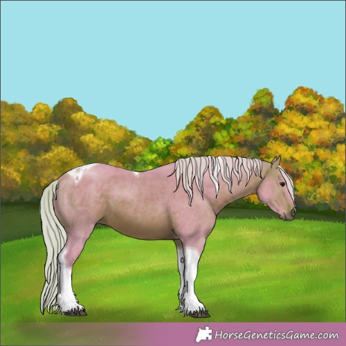 Horse Color:Watercolor Silver Brown Tobiano 