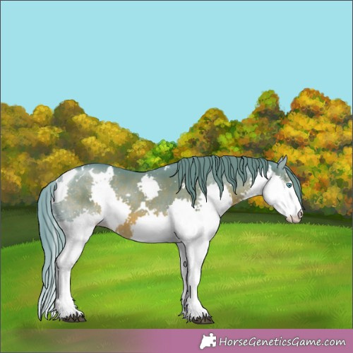 Horse Color:Watercolor White Spotted Liver Chestnut Splash Tobiano 