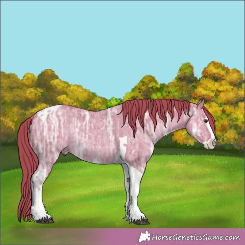 Horse Color:Watercolor Liver Red Dun Ice Splash Tobiano 