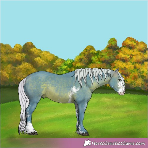 Horse Color:Watercolor Silver Brown Sabino 
