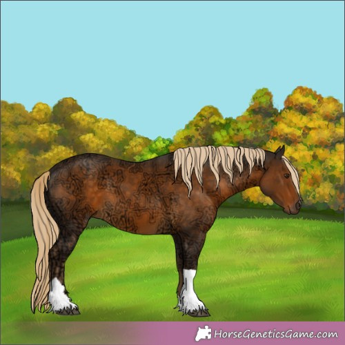 Horse Color:Chocolate Palomino Ice Tobiano 