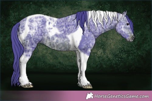 Horse Color:Watercolor Brown Ice Tobiano 