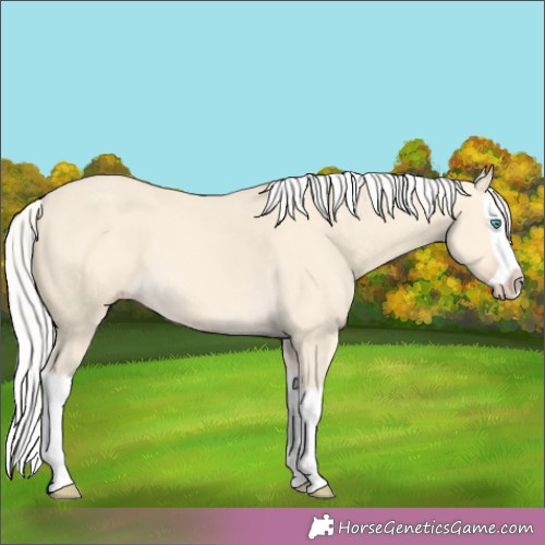 Horse Color:Silver Amber Cream Champagne Splash 