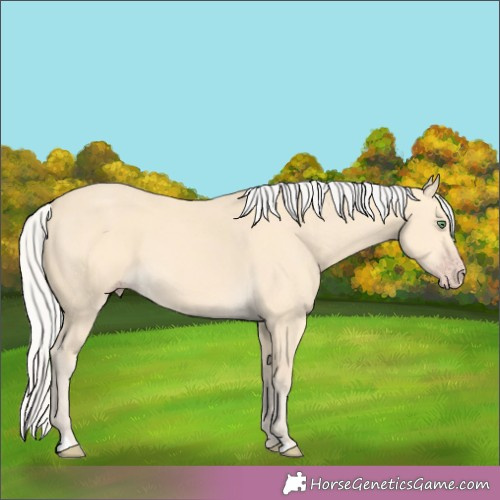 Horse Color:Silver Amber Cream Champagne 