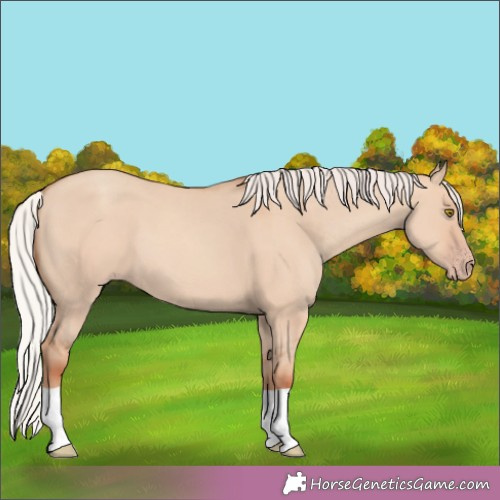 Horse Color:Silver Classic Champagne Dun 