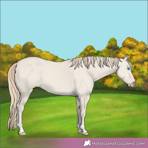 Horse Color:Smoky Creme Dun 