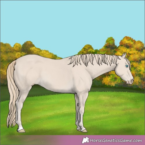 Horse Color:Smoky Creme 