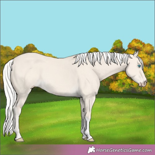 Horse Color:Silver Smoky Creme Dun 