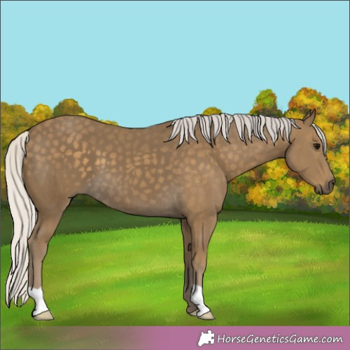 Horse Color:Silver Smoky Black 