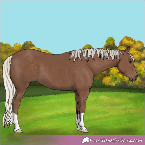 Horse Color:Silver Black 