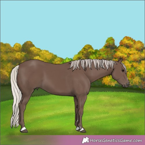 Horse Color:Silver Black 