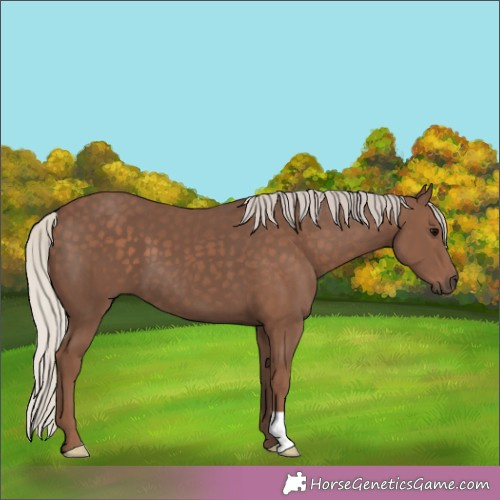 Horse Color:Silver Black 