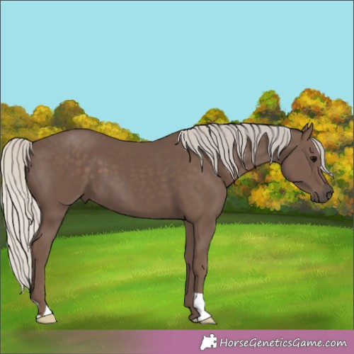 Horse Color:Silver Black 