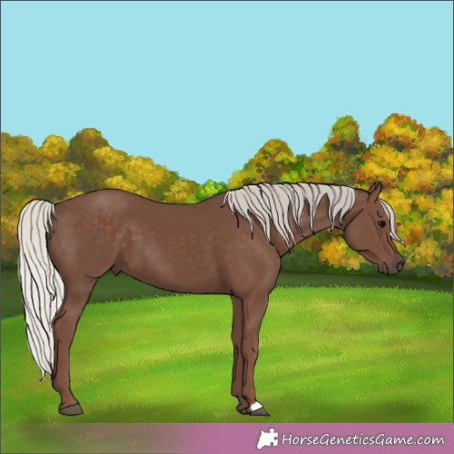 Horse Color:Silver Black 
