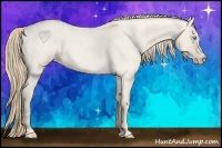 Horse Color:Smoky Creme Roan Dun 