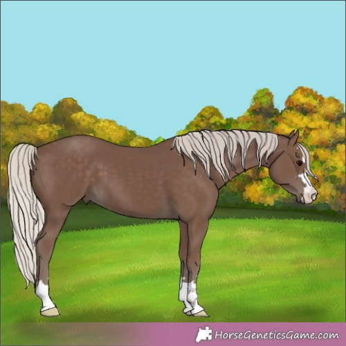 Horse Color:Silver Black 