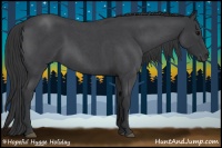 Horse Color:Blue Roan 