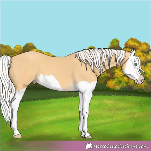 Horse Color:Silver Sable Cream Champagne Splash 