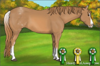 Horse Color:White Spotted Chestnut Splash 