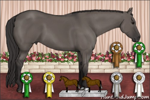 Horse Color: Buckskin Dun 