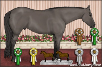 Horse Color:Buckskin Dun