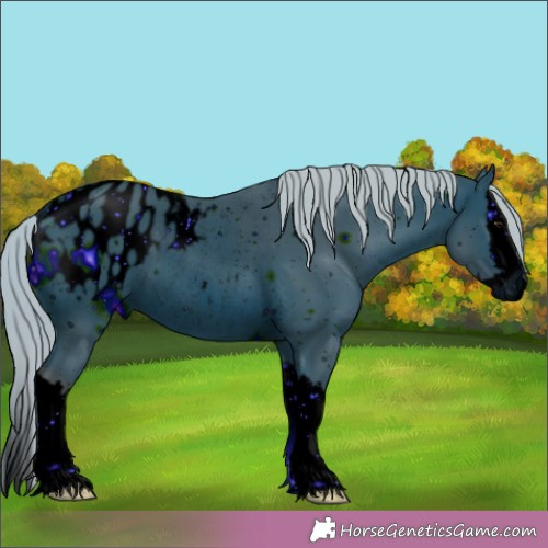 Horse Color:ERROR: UNKNOWN ANOMALY