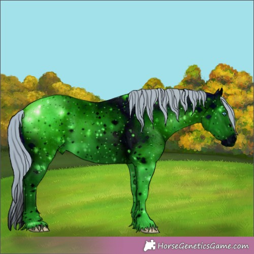 Horse Color:ERROR: UNKNOWN ANOMALY