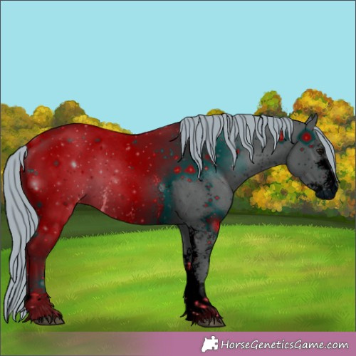 Horse Color:ERROR: UNKNOWN ANOMALY