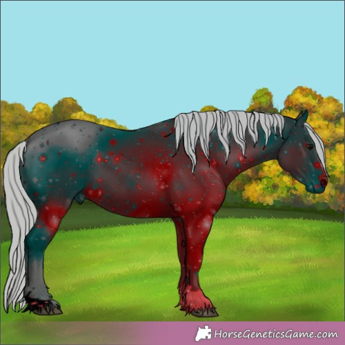 Horse Color:ERROR: UNKNOWN ANOMALY
