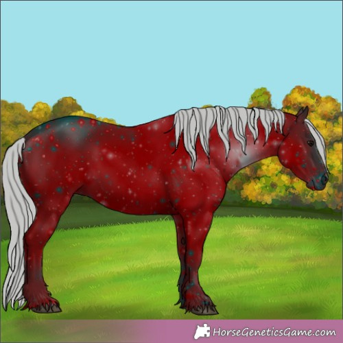 Horse Color:ERROR: UNKNOWN ANOMALY