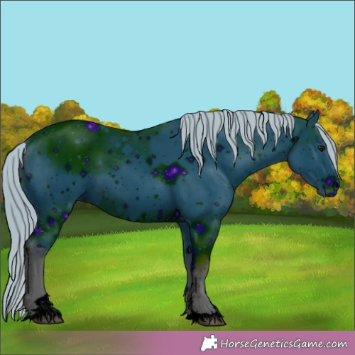Horse Color:ERROR: UNKNOWN ANOMALY