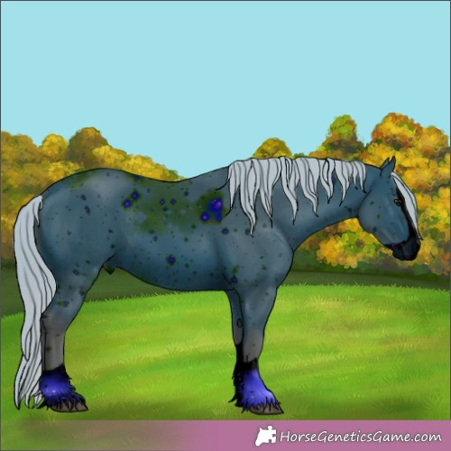 Horse Color:ERROR: UNKNOWN ANOMALY