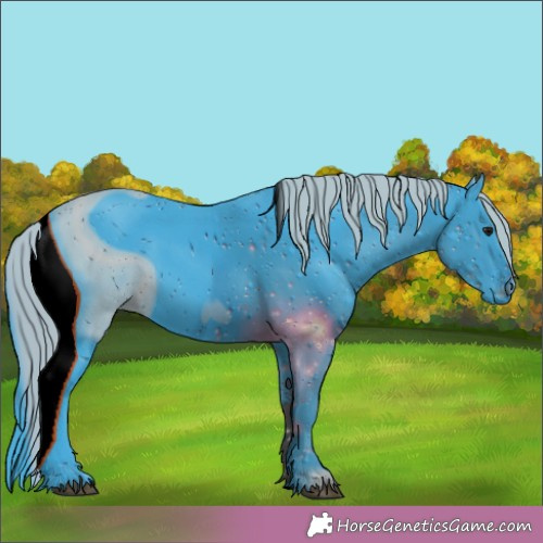 Horse Color:ERROR: UNKNOWN ANOMALY