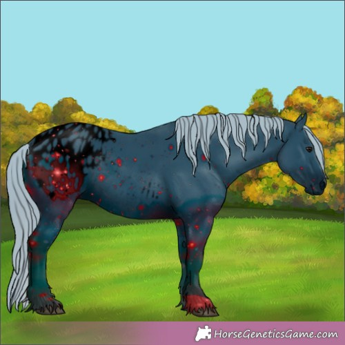 Horse Color:ERROR: UNKNOWN ANOMALY