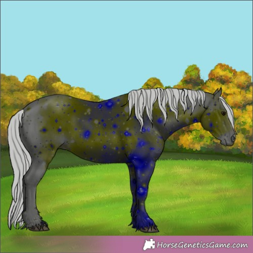 Horse Color:ERROR: UNKNOWN ANOMALY