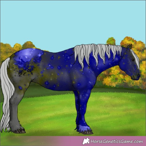 Horse Color:ERROR: UNKNOWN ANOMALY
