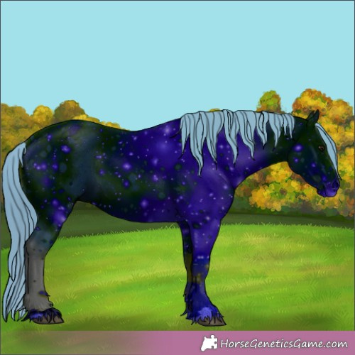 Horse Color:ERROR: UNKNOWN ANOMALY