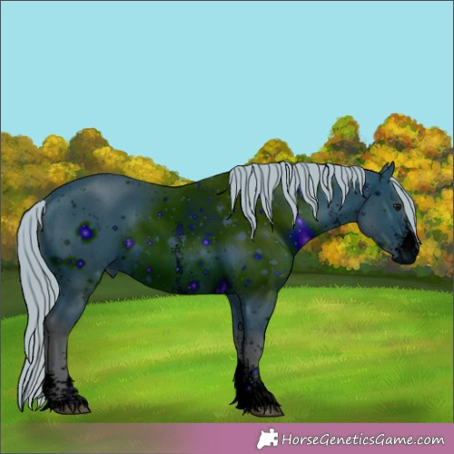 Horse Color:ERROR: UNKNOWN ANOMALY