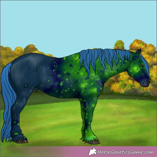 Horse Color:ERROR: UNKNOWN ANOMALY