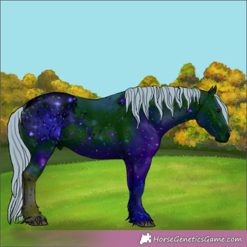 Horse Color:ERROR: UNKNOWN ANOMALY
