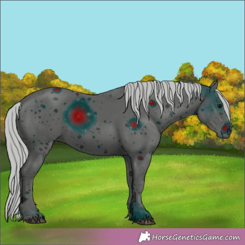 Horse Color:ERROR: UNKNOWN ANOMALY
