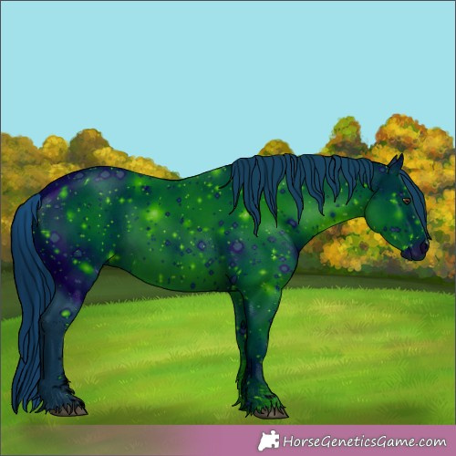 Horse Color:ERROR: UNKNOWN ANOMALY