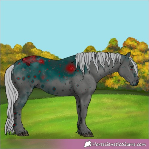 Horse Color:ERROR: UNKNOWN ANOMALY