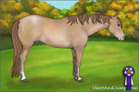 Horse Color:Black Pearl Sabino