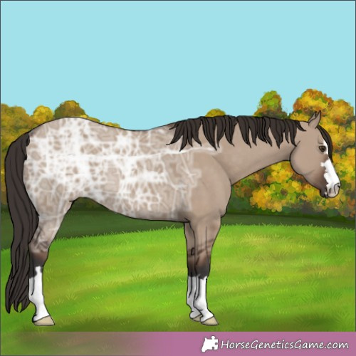 Horse Color:Liver Red Dun Ice 