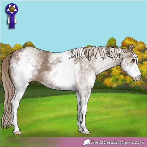 Horse Color: White Spotted Liver Red Dun Sabino 
