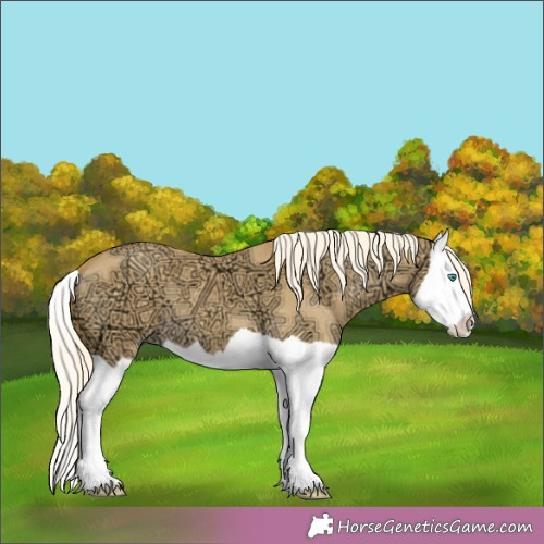 Horse Color:Palomino Ice Dun Splash 