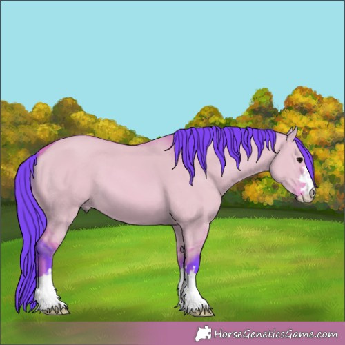 Horse Color:Watercolor Bay Dun 