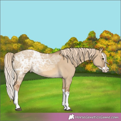 Horse Color:Chocolate Palomino Ice Dun Splash 
