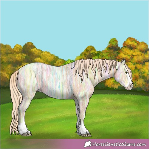 Horse Color:Gold Champagne Ice Sabino Splash 